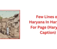 Few Lines on Haryana In Haryanvi For Page (Haryanvi Caption)